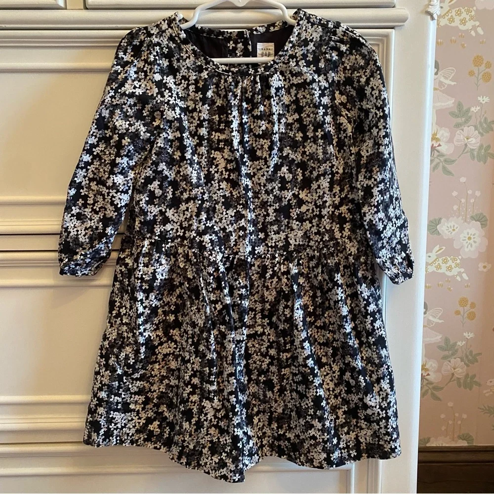 Baby Gap Floral Dress